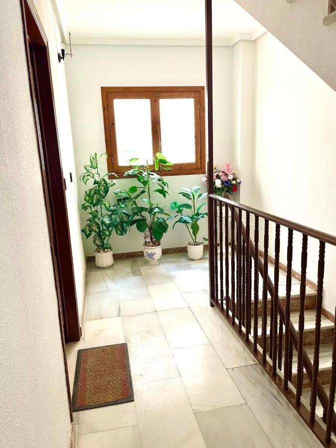 Captain Garcia Apartment Τορεβιέχα Εξωτερικό φωτογραφία